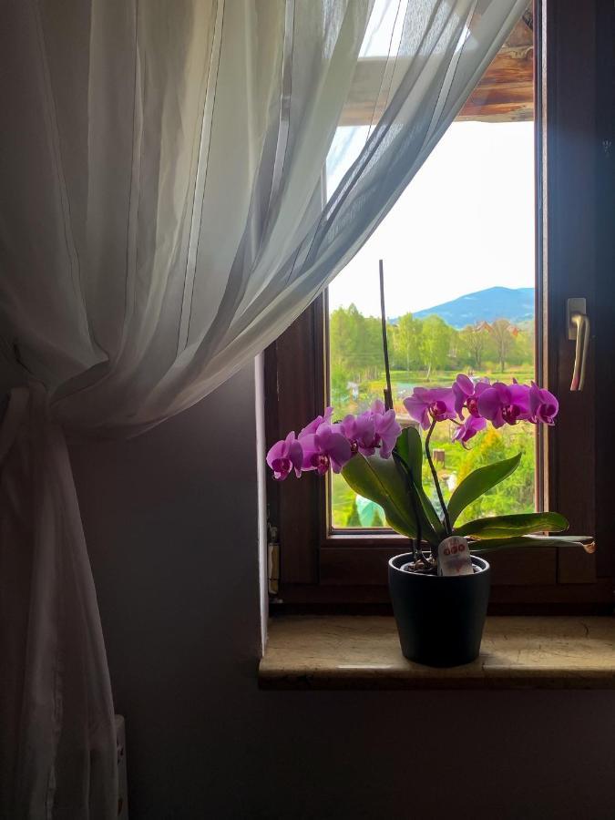 Po Drodze Apartment Stronie Slaskie Luaran gambar